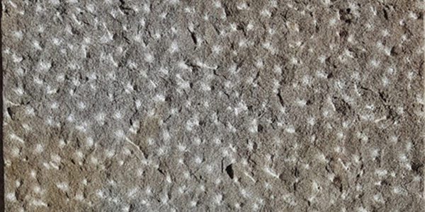Brown Busa Sandstone